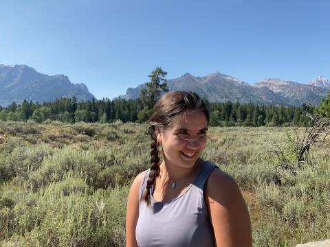 The Need for Multiple Perspectives in Civics